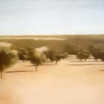 Paysages, 80cmx40cm, huile sur toile, 2007