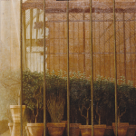 100cmx100cm, huile sur toile, 1989