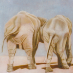 Eléphant, 30cmx30cm, huile sur toile, 1998